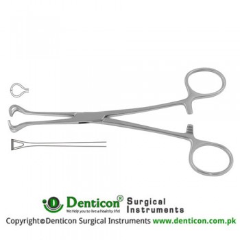 Babcock Intestinal and Tissue Grasping Forceps Stainless Steel, 21 cm - 8 1/4"